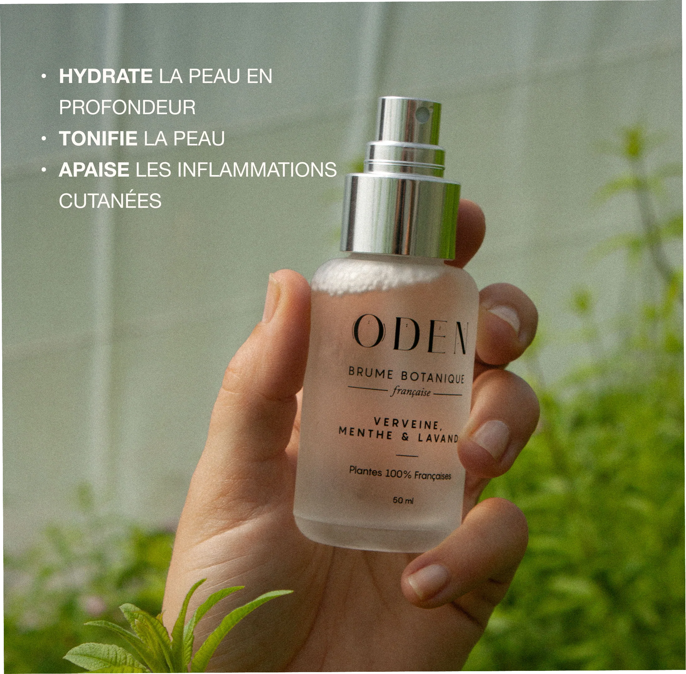 Brume Botanique Verveine